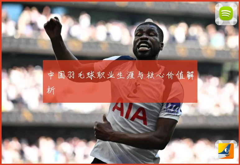 中国羽毛球职业生涯与核心价值解析