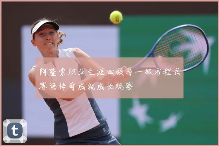 阿隆索职业生涯回顾与一级方程式赛场传奇成就成长观察