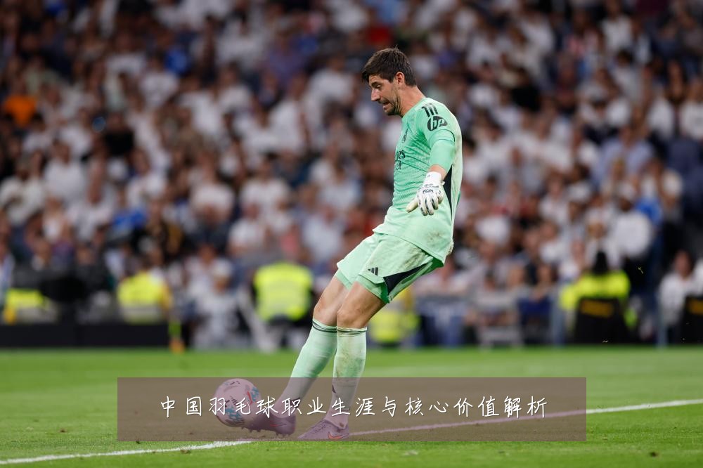 中国羽毛球职业生涯与核心价值解析